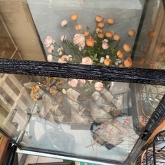和風ガラスケース　大きいサイズの画像