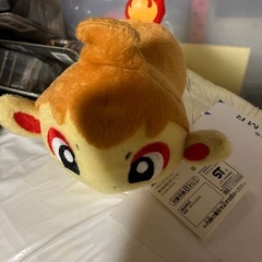 ヒコザル　ポケモン
