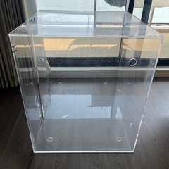 鳥　インコ　　アクリルケース　鳥籠の画像