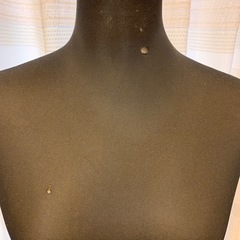 トルソー　マネキン　レディース　ブラック　訳あり　所々穴ありの画像