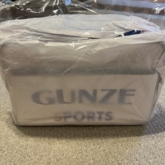 グンゼ　かばん