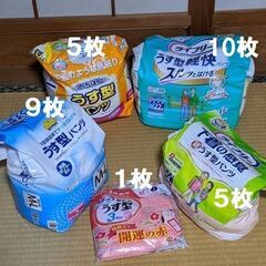 大人用紙パンツ（ウエスト55or60～85or90cm）82枚の画像