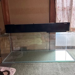 大型ガラス水槽の中古が安い！激安で譲ります・無料であげます