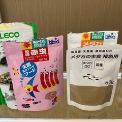 60cm水槽の画像