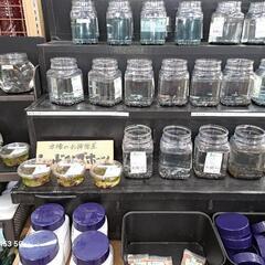 めだか　IN    よらん野の画像