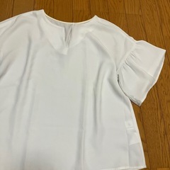 春夏カットソー の画像