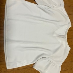 春夏カットソー の画像