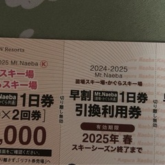かぐら苗場共通リフト券