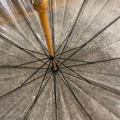 雨傘の画像