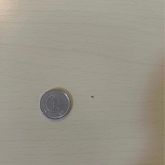 ニトリのこたつ(テーブルのみ)の画像