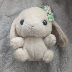 うさぎ ぬいぐるみ ベージュ