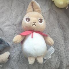 うさぎ ぬいぐるみ セットの画像