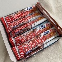 20入　ガブリチュウ　コーラ