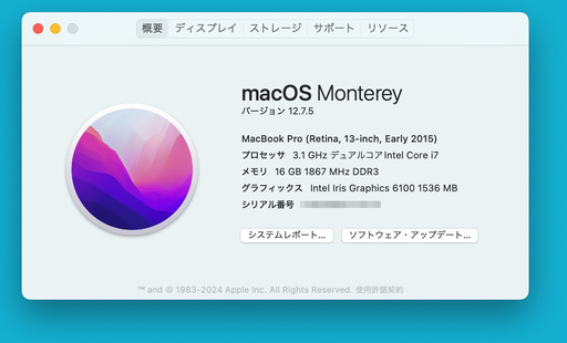 MacBook Pro early2015 16GB 1TB 13inch i7 3.1GHz [手渡し]