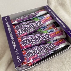 20入　ガブリチュウ　グレープ