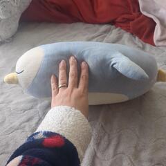 ペタンコ ペンギン ぬいぐるみの画像