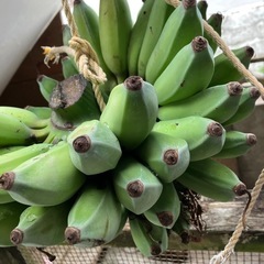 無農薬　島バナナ　