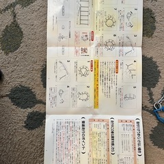タイヤ　チェーン　ステップワゴンのバッグ付き　ピュアリンクチェーン　ラダー型　
価格相談下さいの画像
