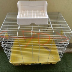 うさぎ小屋