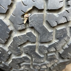 LT265/70R17   112/109Rの画像