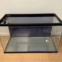 KOTOBUkI 水槽 60センチ