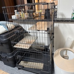 2段キャットケージの画像