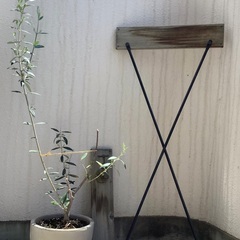 オリーブ&ガーデニング雑貨