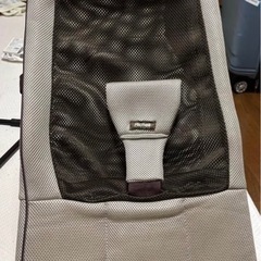 baby bouncer