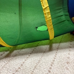 【玩具】ボールプール　大の画像