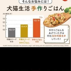 ドッグフードの画像