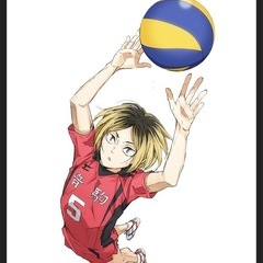 🏐初級者の為のバレーサークル🏐