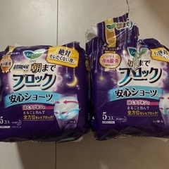ナプキン　履くタイプ