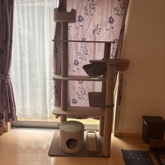 キャットタワー本日取りに来られる方2