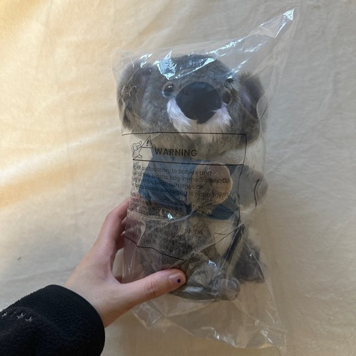🐨やしじゅん🐨コアラー(2025もコアラ年) | 朝イチのツムツム