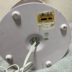 ディズニー　プリンセス　電気の画像