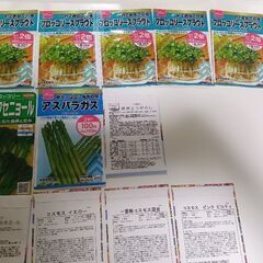 野菜と花の種