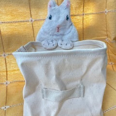 うさぎさんの小物入れ