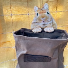 うさぎさんの小物入れの画像