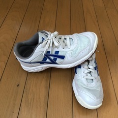 体育館シューズの画像