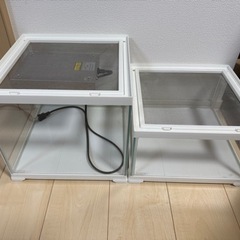レプテリアホワイト300CUBE Low/highケージ　飼育ケース