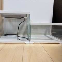 レプテリアホワイト300CUBE Low/highケージ　飼育ケースの画像