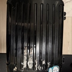 スーツスーツ　グリフィンランド　MSサイズ約45L