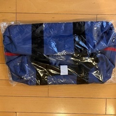 中日ドラゴンズ　スポーツバッグ　リュックの画像
