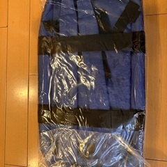 中日ドラゴンズ　スポーツバッグ　リュックの画像