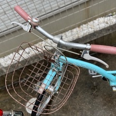 22インチ　小学生女の子の画像