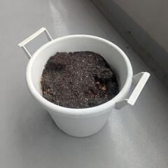 プラスチック植木鉢
