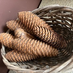 松ぼっくりとカゴのセットの画像