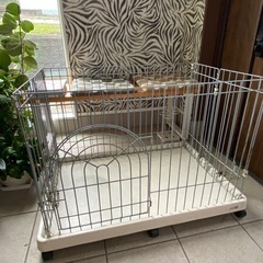 犬のゲージ🐶
