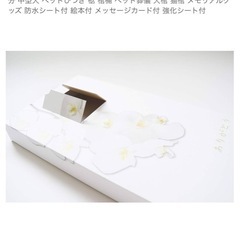 犬の棺の画像
