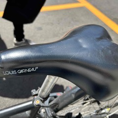 ルイガノ 黒 27インチシティバイク 中古　MULTIWAY27 MATTE LG BLACK(440mm)の画像